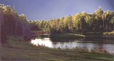 View of the Pond from the house